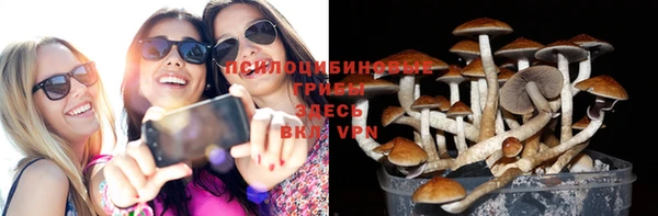 экстази Алексин