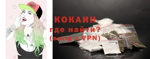 apvp Няндома