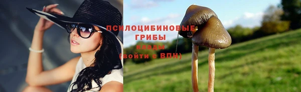 экстази Алексин