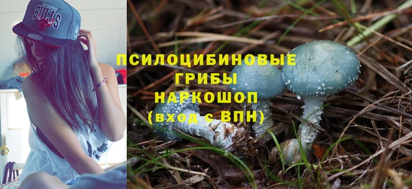 прущие грибы Алзамай