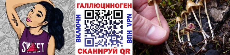 Галлюциногенные грибы GOLDEN TEACHER  Южно-Сухокумск 